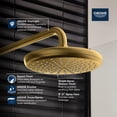 thumbnail image 4 of Grohe Tempesta 210 Shower Head - 1.75GPM in Grohe Brushed Nickel - 26409EN0, 4 of 4