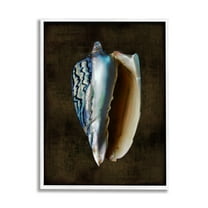 Stupell Industries Conch Shell on Black Nature Painting White Framed Art Print Wall Art, 11 x 14