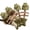 4PCS, variant on Catnip and Silvervine Chew, 7 in Cat Chew Toy with Natural Catnip Sticks, Dental Teeth Cleaning Treat for Indoor Cats All Breeds