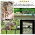 thumbnail image 3 of Exotic Nutrition Squirrel Complete 1.75 lb., 3 of 8