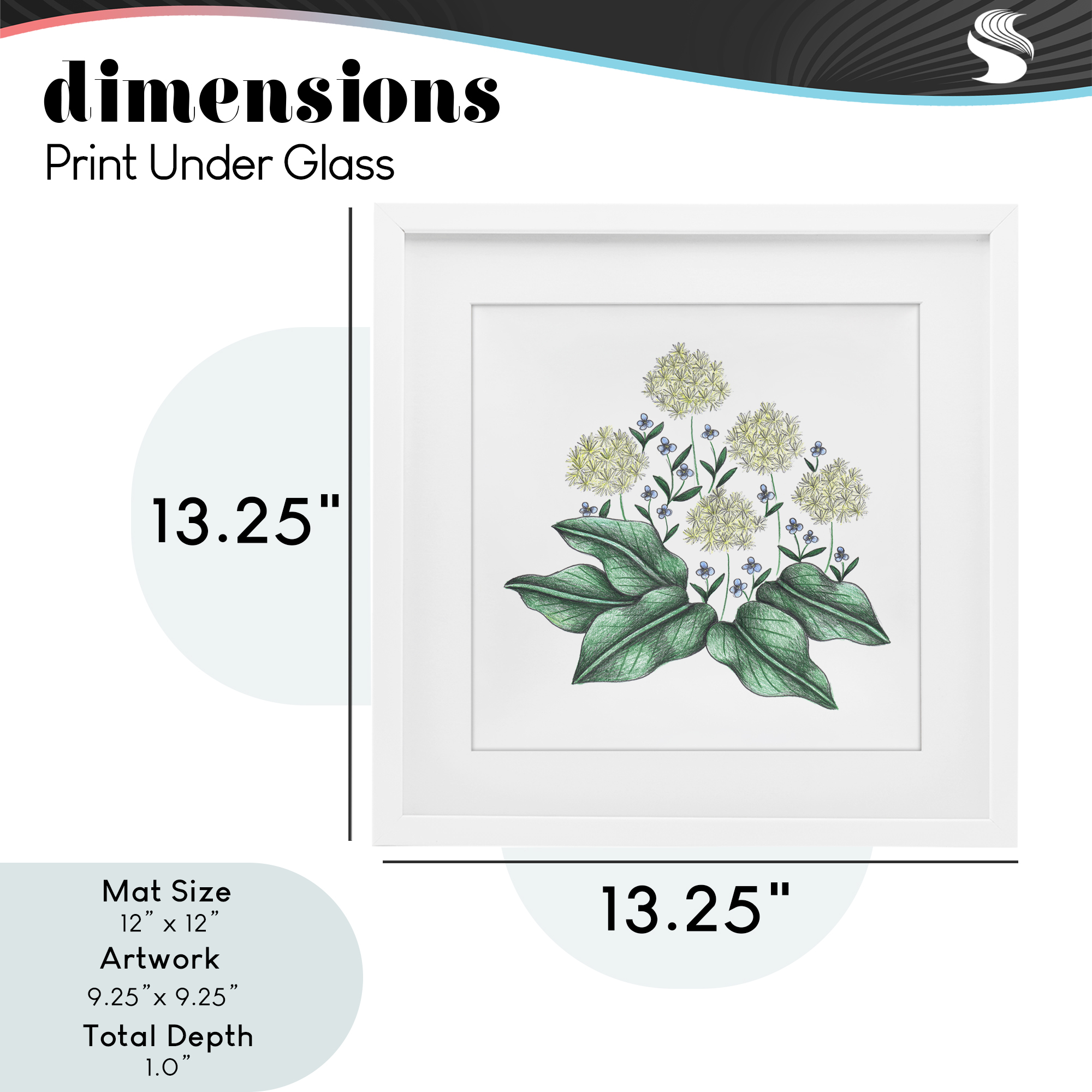 Hello Wildflower Vintage Sketch White Framed Print Under Glass, design by Cecilia Battaini