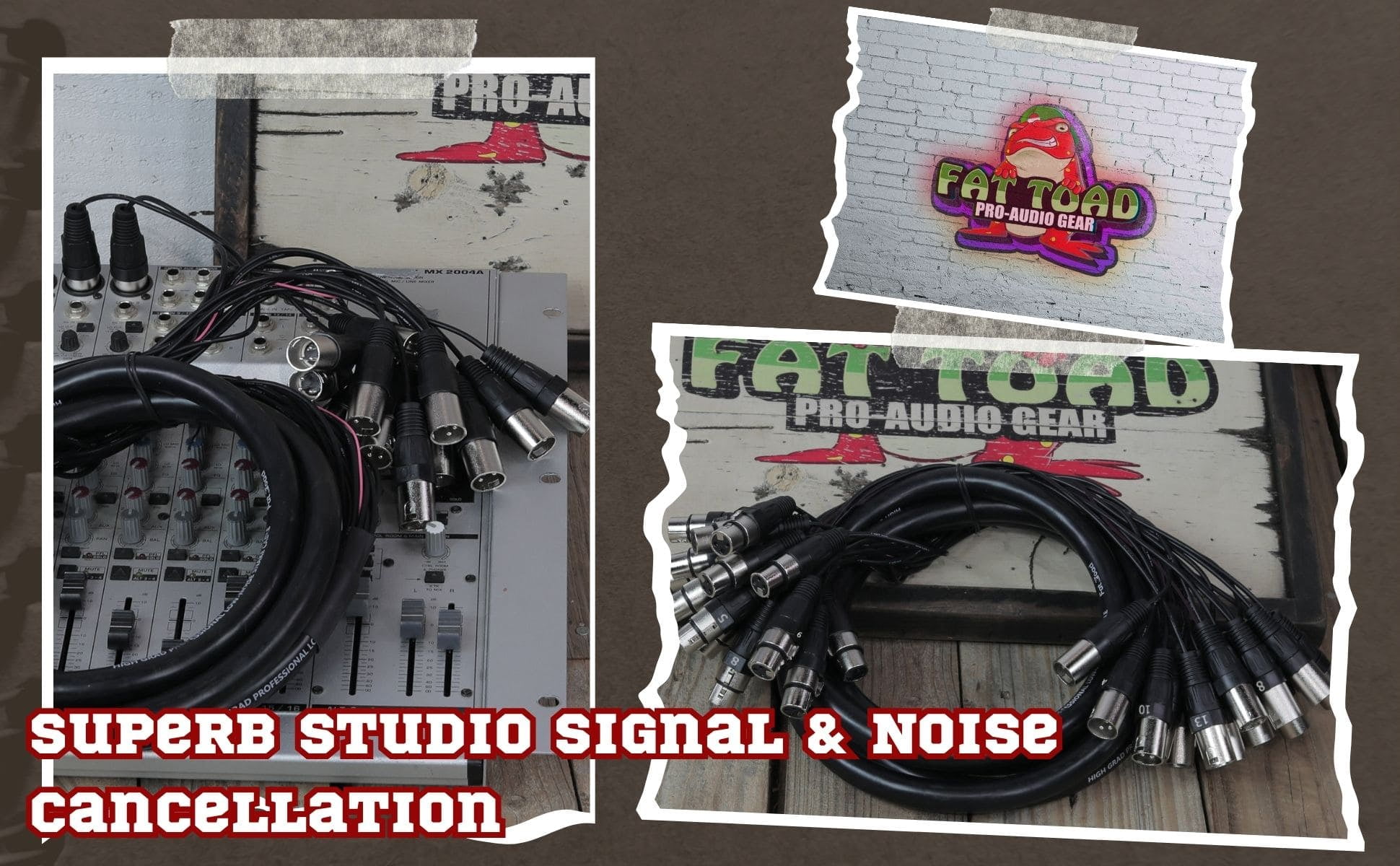 Fat Toad Studio XLR Snake Cable (16 Channels) 10 FT - Stage, Live Sound Recording Multicore Cords - Pro Audio Shielded Balanced Double-Sided Microphone Cables for DJ Digital Mixers or Amplifiers