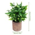 thumbnail image 2 of unbranded Bonsai Artificial Para Escritorio Con Follaje Ideal Para En Casa Y Oficina, 2 of 8