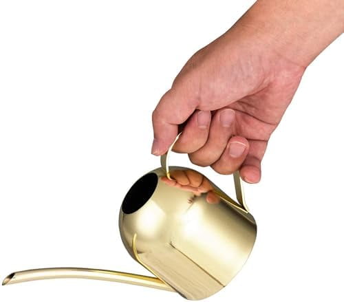 Gold Watering Can for Indoor Plants, Orchid, Bonsai - Stainless Steel With Long Spout for House, Desk, Office - 15oz/450ml