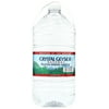 Crystal Geyser Alpine Spring Water, 1 Gal