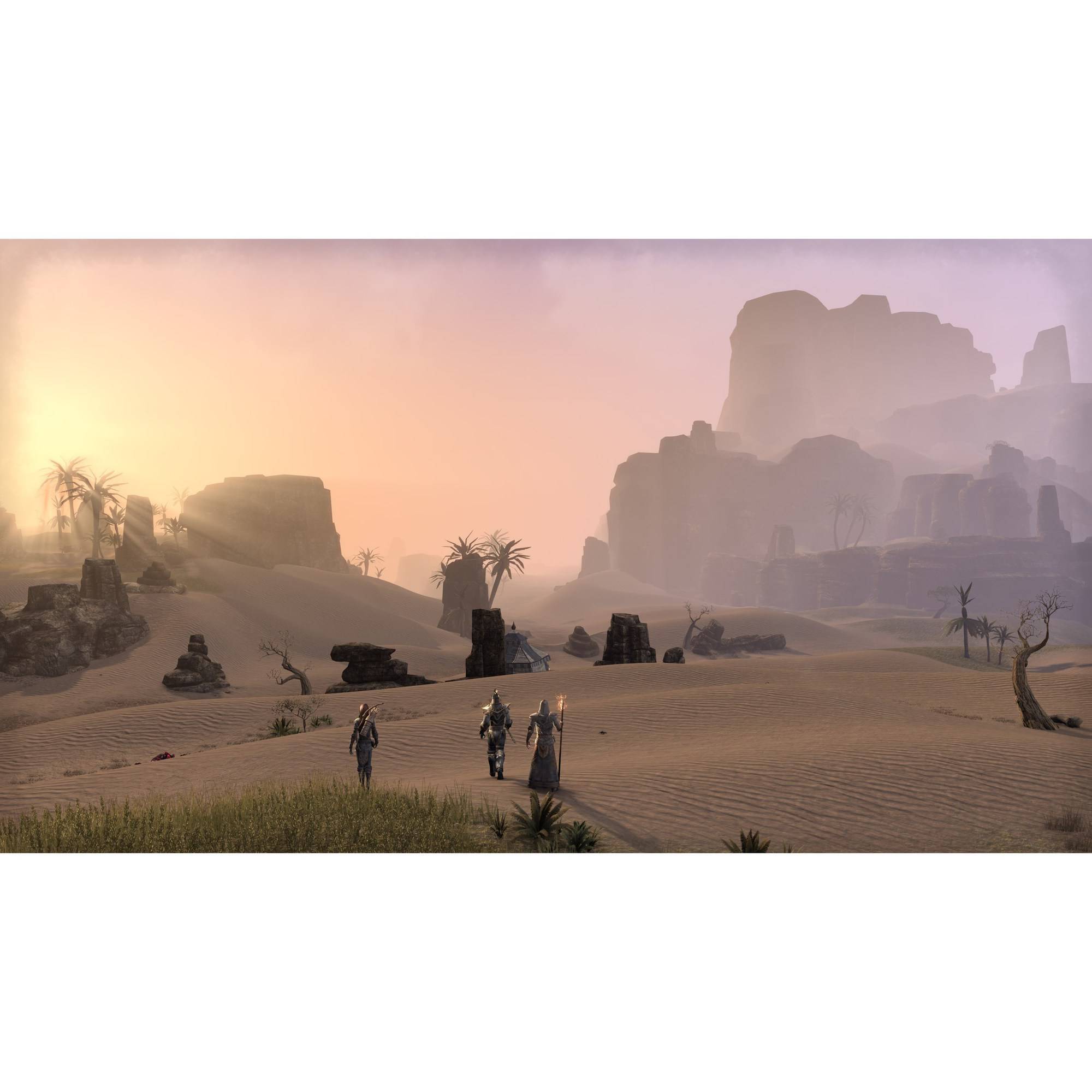 Elder Scrolls Online (PS4) - image 5 of 7