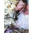 thumbnail image 4 of 2800W Electric Sheep Shears 6 Speeds Hair Clipper for Sheep Goat Alpacas Wool Scissor Sheep Farm Shearing Machine Cut ,Dustproof Design&Overheating Protection, 4 of 7