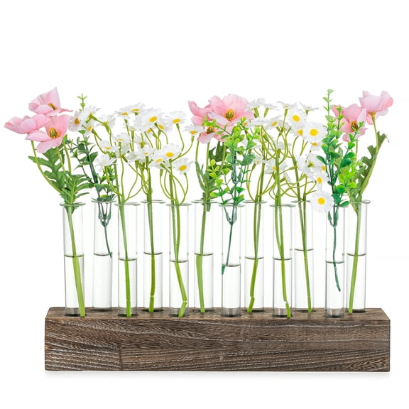 Nuptio Plant Propagation Station Vase in Wooden Base, 12 Glass Test Tube Vase Wedding Centerpiece for Table