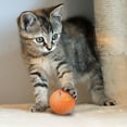 thumbnail image 3 of Balles pour Chiens, Balle Intelligente pour Chien Jouet Interactif pour Chien Balle de Berger Balle Active Mobile Rotative Jouet Type-C pour Chiens, Balle Jouet pour Chien, Balle pour Chiens, 3 of 9
