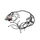 thumbnail image 5 of Parte Trans, Arnés De Cableado Independiente LS Swap ABS Resistente A Altas Temperaturas DBW 4L60E De Alto Rendimiento Para Transmisiones 4L70E 4L75E, 5 of 7