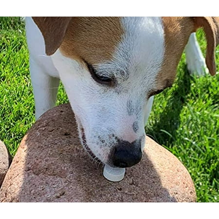 UPC: 0740985273654 | Stool Eating Deterrent with Yucca Schidigera Extract for Dogs