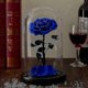 thumbnail image 3 of 2025 Preserved Real Rose Eternal Rose In Glass Dome Gift For Her Thanksgiving Christmas Valentine's Day Birthday Mother's Day (red)bebetter, 3 of 4