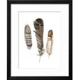 thumbnail image 2 of Earthtone Feathers I, Framed Art Print Wall Art by Alicia Ludwig Sold by Art.Com, 2 of 5