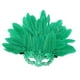thumbnail image 3 of Máscara de plumas artificiales de media cara, accesorio de moda para fiesta de disfraces de cosplay Verde, 3 of 8