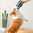 thumbnail image 4 of Pet Tough-Treat Ball Food Dispenser Cat Dog Rotary Funny Toy Speravity PT001505-02, 4 of 6
