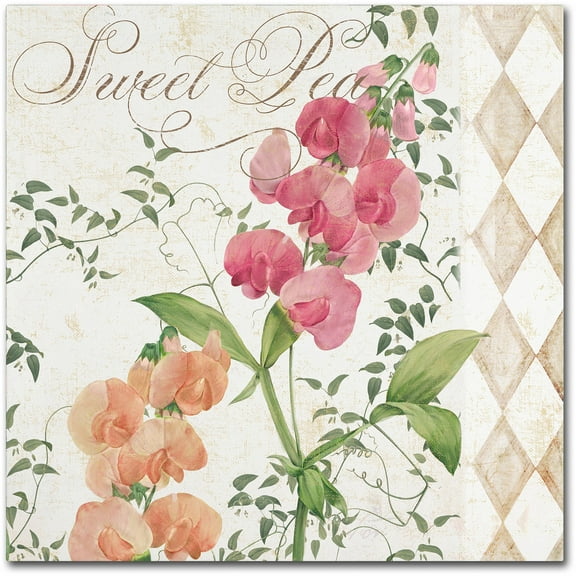 Trademark Fine Art "Sweet Pea" Canvas Art by Color Bakery