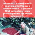thumbnail image 5 of (15 Lbs) Guatemala Green Sprecialty Grade Gourmet Green Coffee - by Kafetos Coffee Co, 5 of 6