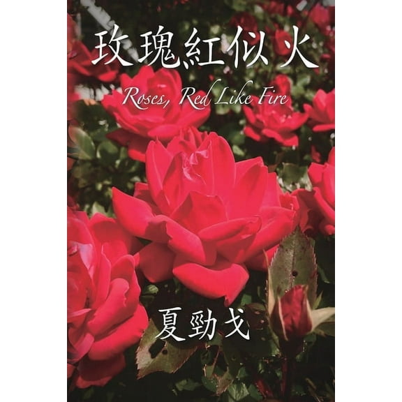 玫瑰紅似火, (Paperback)