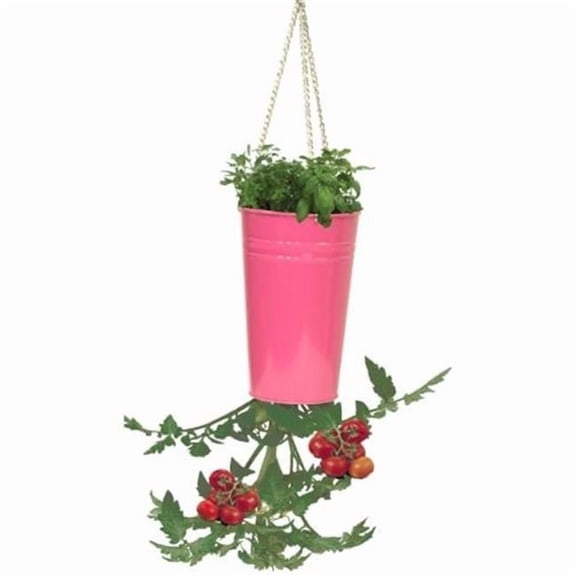 Houston International Trading 8398E HPK Enameled Galvanized Upsidedown Tomato Pepper Hanging Planter, HotPink