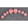 thumbnail image 1 of 8PCS Toe Separator Cute Flower Fake Pearl Toe Spacer Pedicure Tool for Nail Art, 1 of 10