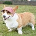 thumbnail image 5 of Gorra de béisbol para perros Symphonyw, ajustable, rosa, de verano, talla M, 5 of 5