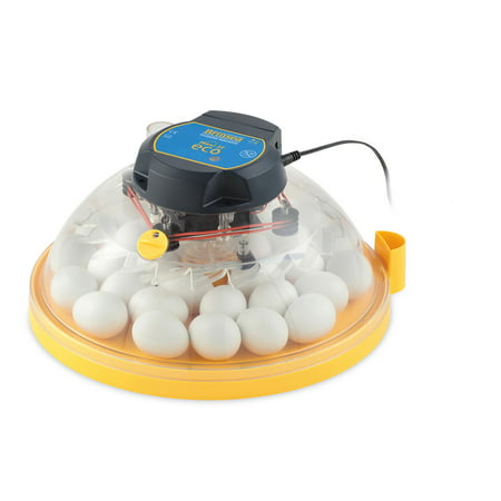 Maxi II Eco manual 30 egg incubator