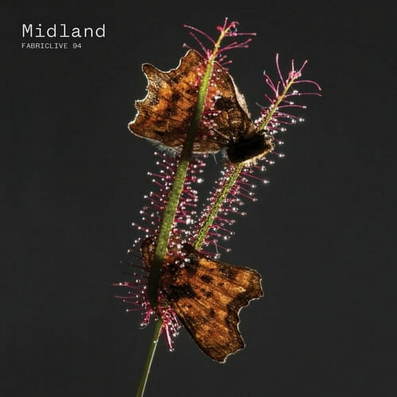 Midland - Fabriclive 94 - Music & Performance - CD