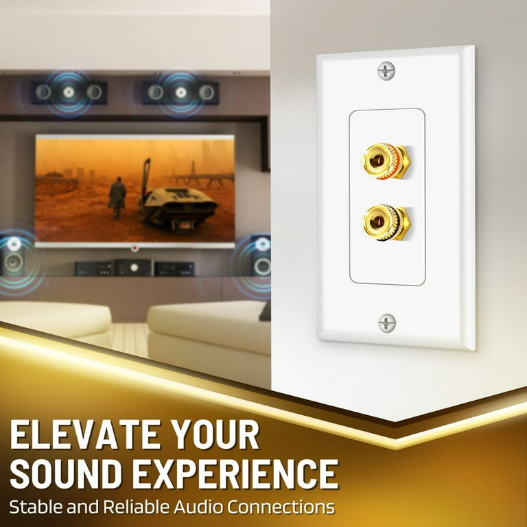 Black 2 Port Banana Speaker Wall Plate Black 2 Port Banana Speaker Wall Plate