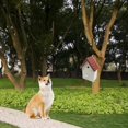 thumbnail image 5 of Ultrasonic Dog Barking Deterrent, Barking Control, Anti-Barking Device, Three-Frequency Non-Barking Control Device to Prevent Dog Barking, Outdoor Ele_Perfect Gift, 5 of 5