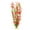 M, variant on Xoxingysm Artificial Flowers 11 Inch Assorted Color Aquarium Plastic Plant Decoration with Ceramic Base 6 Piece, One Artificial Aquatic Plant