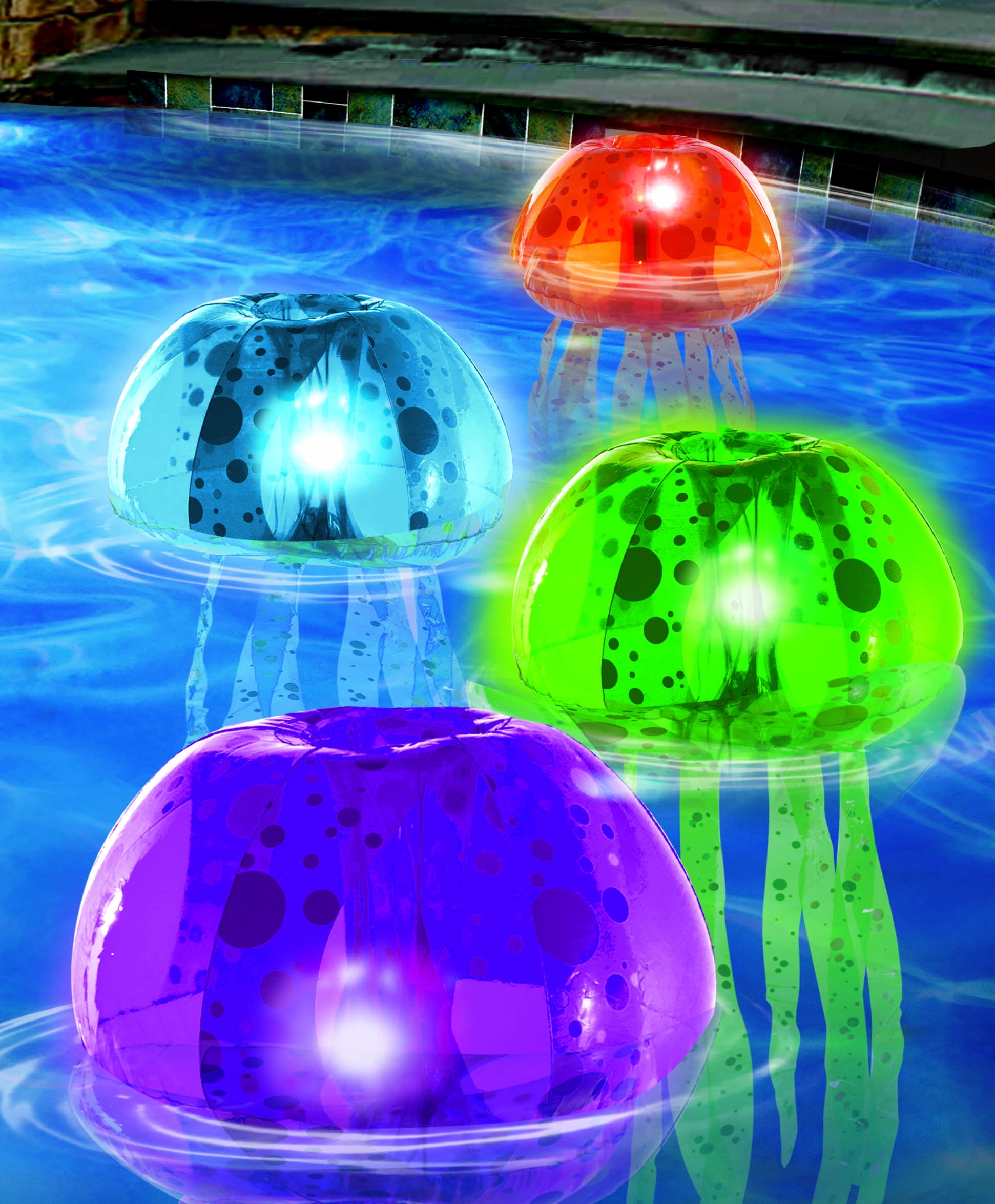 pool jellyfish