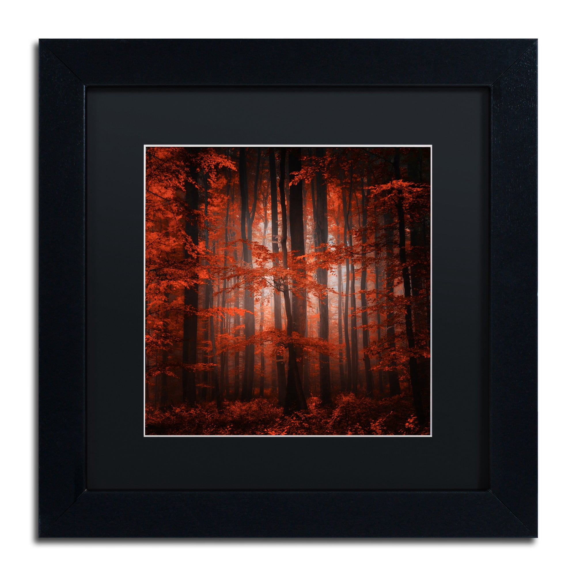 Trademark Fine Art "Red Parallel Universe" Canvas Art by Philippe Sainte-Laudy Black Matte, Black Frame