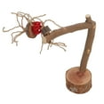 thumbnail image 2 of Bird Cage Accessory,Bird Play Ground Wooden Bird Table Perch Bird Play Ground Eco-Friendly Materials, 2 of 12