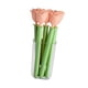 thumbnail image 4 of 5 clips para bolsas de patatas fritas Macarena rosa, 4 of 8