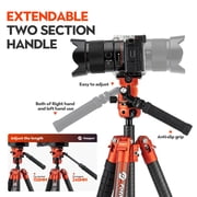 Fotopro X-Airfly Video 64.6 Carbon Fiber Tripod with Ball Head & Fluid Head, 5-Sec Lightweight Compact Camera Tripod Stand for Travel, Low Angel Shooting, Hidden Phone Clip, Max Load 10 lbs, Orange
