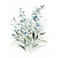 thumbnail image 3 of Robinson, Carol 20x24 Black Modern Framed Museum Art Print Titled - Delicate Blue Botanical I, 3 of 5