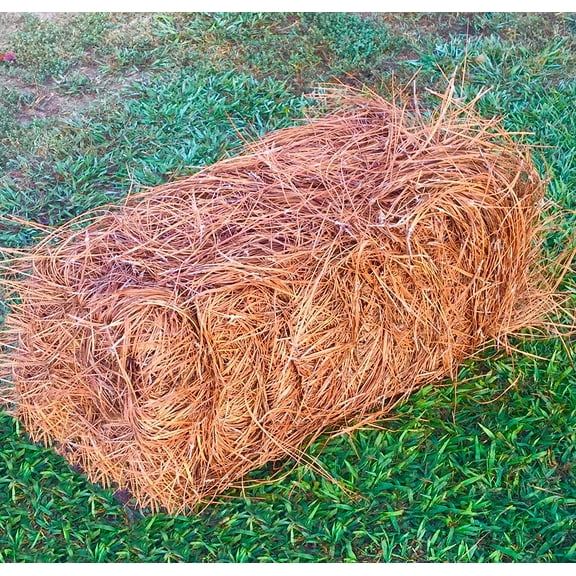 Pine Straw - Pine Needle Mulch - Covers 65-80 Sqft