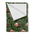 thumbnail image 2 of Flamingo Soft Flannel Fleece Throw Blanket, Repetitive Pattern of Exotic Bird and Monstera Leaves, Cozy Plush for Indoor and Outdoor Use, 50" x 70", Charcoal Grey Dark Salmon, by Ambesonne, 2 of 5
