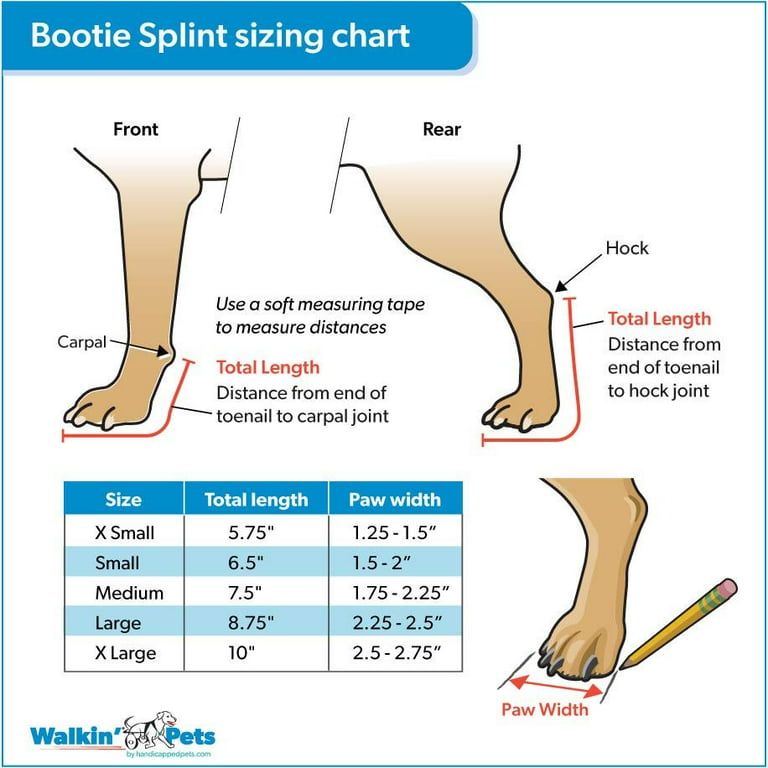 Bootie splint for best sale dogs