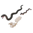 thumbnail image 1 of Snake Growth Cycle Model, Snake Life Cycle Model Toys Odorless Stimulate Interest  PVC Educational  for Teaching, 1 of 7