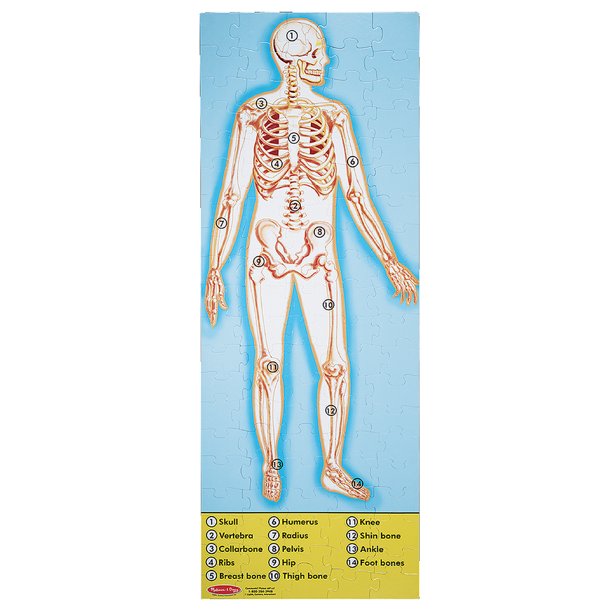 Melissa & Doug Human Anatomy 100pc Floor Puzzle