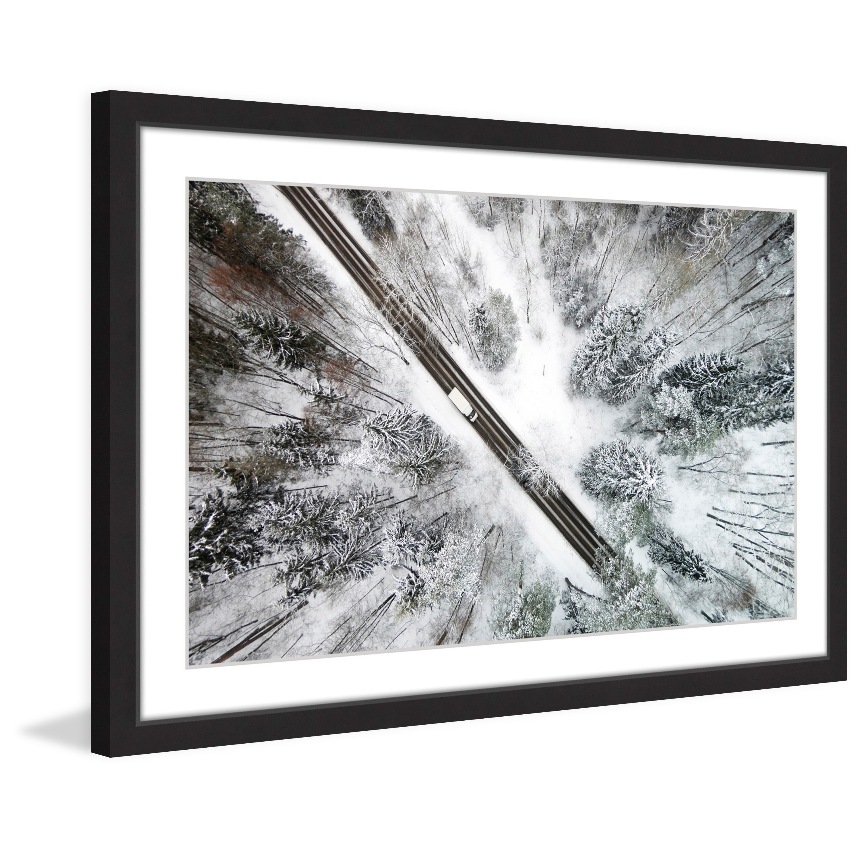 Marmont Hill 'Icy Forest' Framed Photographic Print