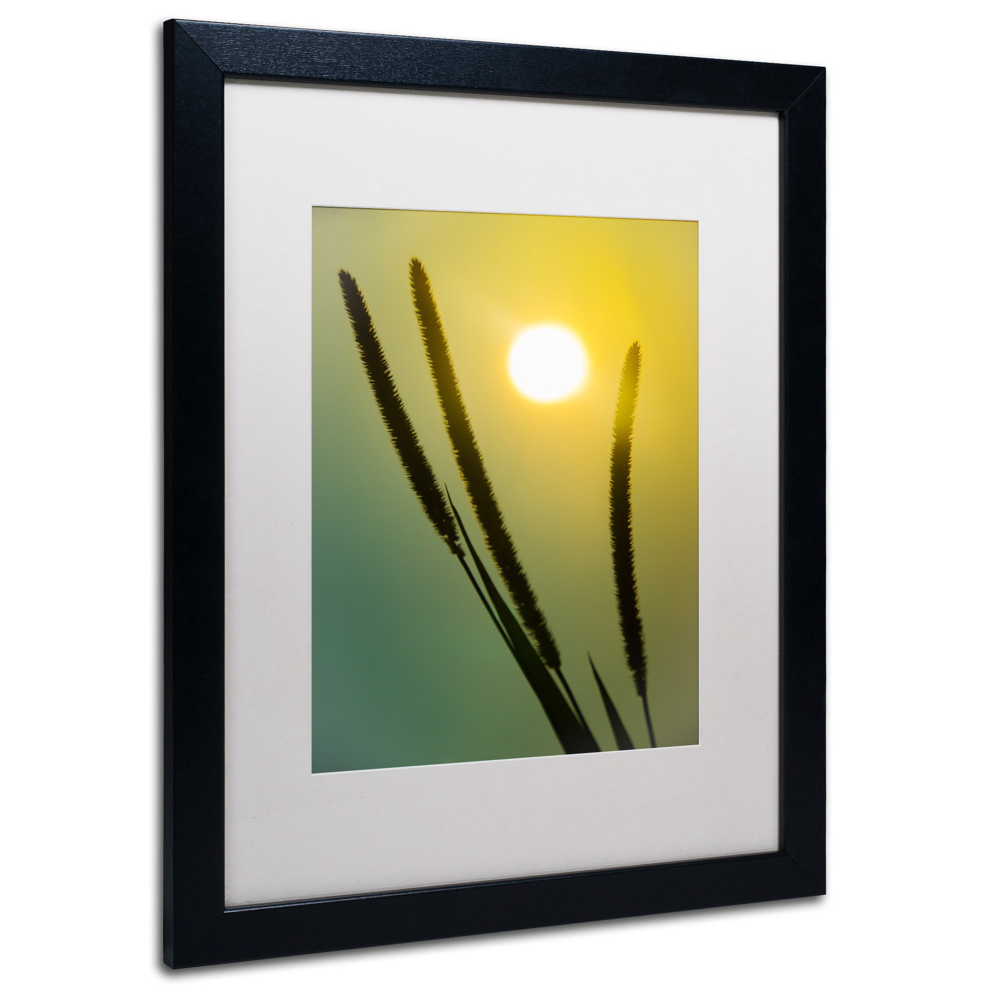 Trademark Fine Art 'Steam Train with Autumn Foliage' Canvas Art by PIPA Fine Art, White Matte, Wood Frame