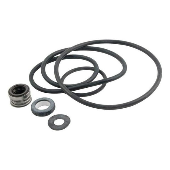 Pentair PP3000 Seal Gasket Replacement Kit Sta-Rite Pool and Spa Pump