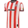 thumbnail image 3 of Camiseta de local de la GAA de Louth 2024, camiseta de rugby para hombre, talla: S-5XL (nombre y número personalizados), 3 of 5