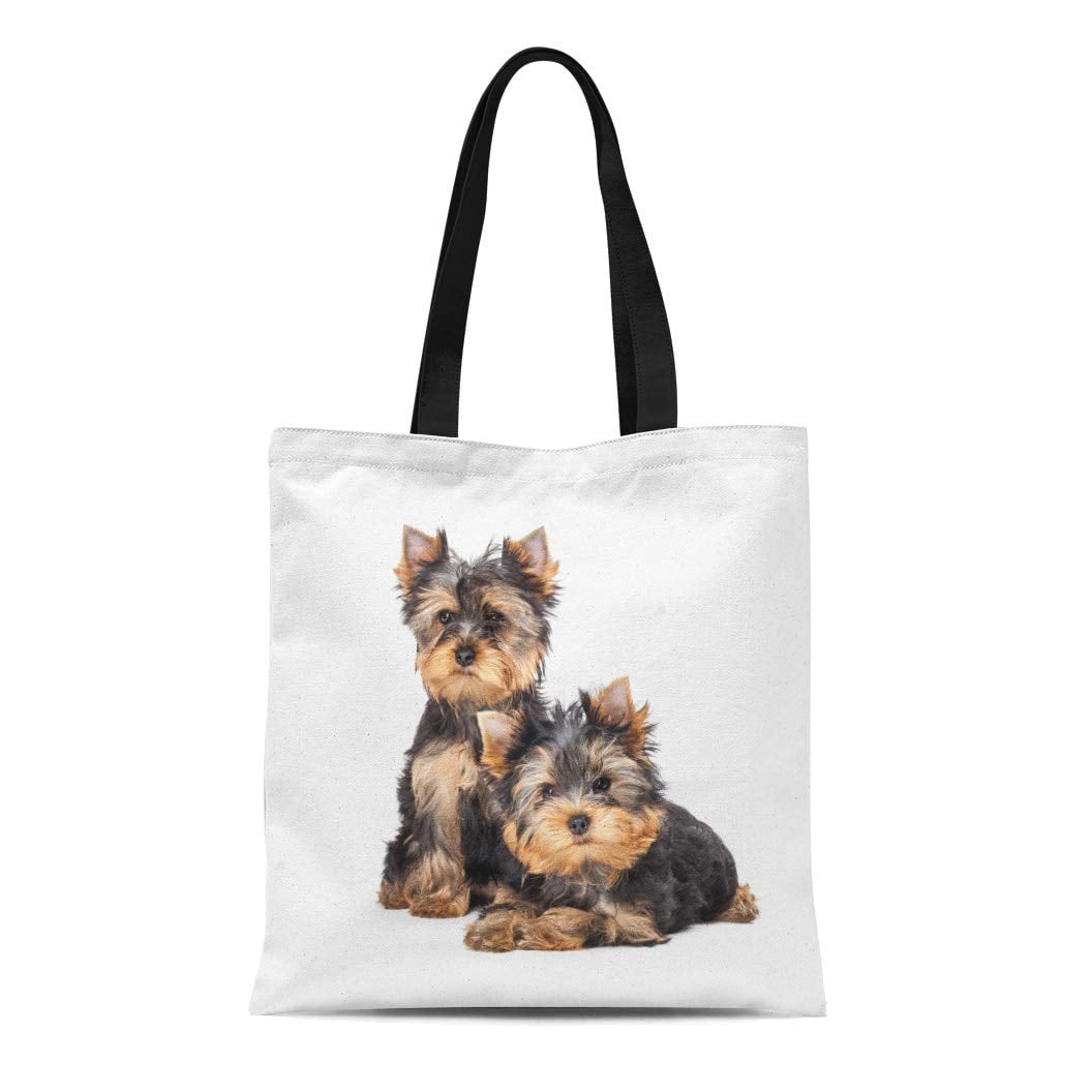 KDAGR Canvas Tote Bag Brown Puppy Two Yorkshire Terrier Puppies Yorkie