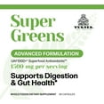 thumbnail image 5 of TURNER Super Greens Wheat Grass Powder Supplement New Zealand Raw Green Superfood, 1 Bottle, 90 Capsules, 5 of 6