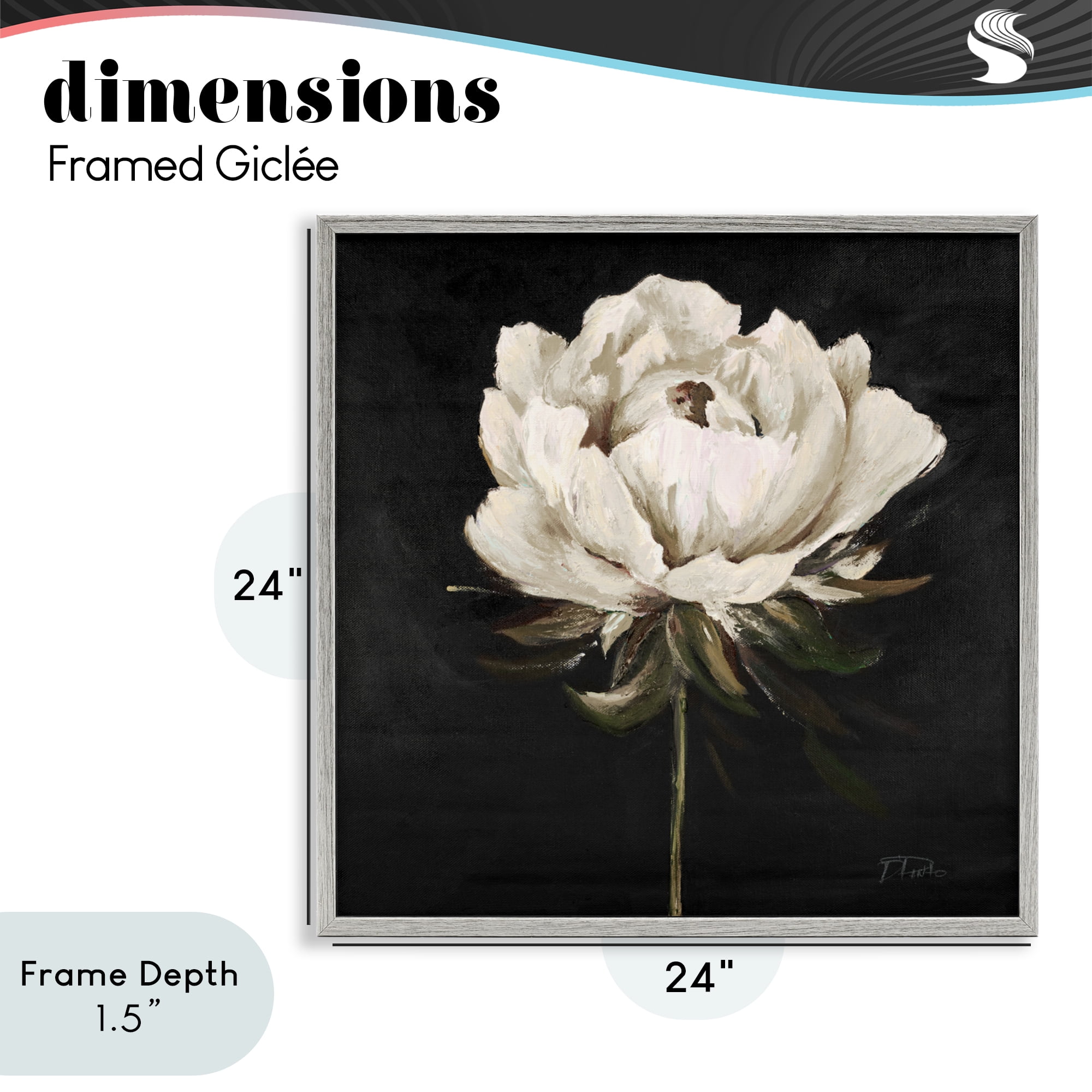 Stupell Industries Pretty Delicate Bloom on Black Gray Framed Giclee Art, design by Patricia Pinto