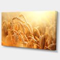 thumbnail image 2 of Gros Plan sur les Oreilles de Blé Doré - Grand Paysage sur Toile, 2 of 3