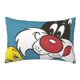 thumbnail image 1 of Funda de almohada rectangular Sylvester, suave y acogedora, con cremallera oculta, para cama, sofá, decoración del hogar, 20 x 30 pulgadas, 1 of 8
